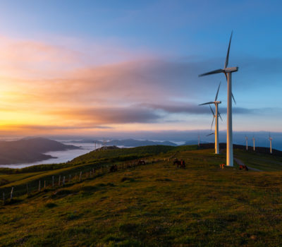 Read more about Wind Energy Jobs Global Outlook